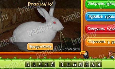 Угадай животных ответы в картинках в контакте Уровень 467