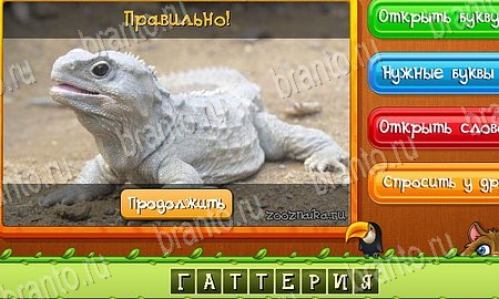 Игра Угадай животных подсказки вк Уровень 469