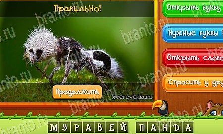 Угадай животных игра из одноклассников решения Уровень 473