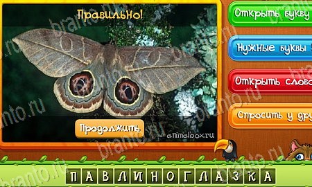 ответы на игру Угадай животных в одноклассниках Уровень 477