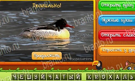 ответы на игру в одноклассниках Угадай животных Уровень 482