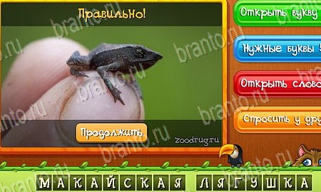 Угадай животных игра ответы в одноклассниках Уровень 483