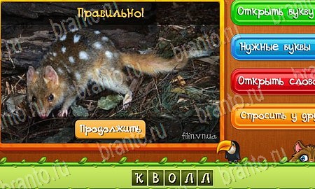 решебник на игру Угадай животных Уровень 487