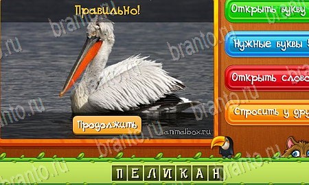 Угадай животных решения на игру из одноклассников Уровень 488