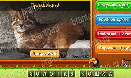 Угадай животных игра ответы на все задания Уровень 489