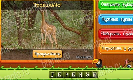 Угадай животных игра в контакте подсказки Уровень 490