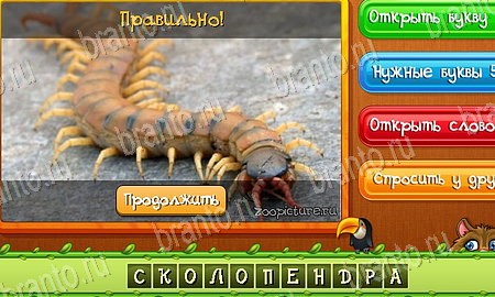 Угадай животных игра в одноклассниках помощь Уровень 491