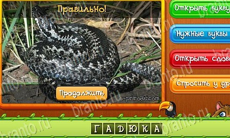 Угадай животных ответы в картинках в контакте Уровень 492