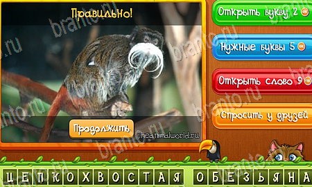 Игра Угадай животных ответы одноклассники, вк Уровень 493