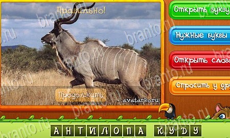 Игра Угадай животных подсказки вк Уровень 494