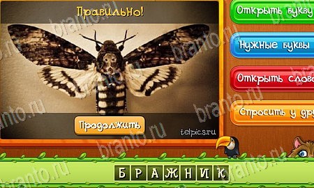 игра Угадай животных помощь одноклассники Уровень 495