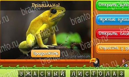 игра Угадай животных ответы в одноклассниках на Уровень 496