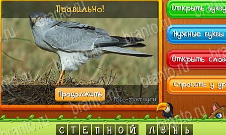 решебник на игру Угадай животных Уровень 497