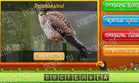 Угадай животных игра из одноклассников решения Уровень 498