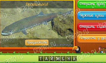 Угадай животных игра ответы ВК Уровень 499