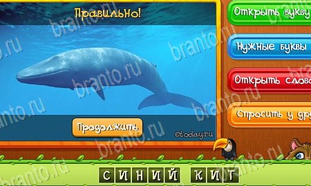 Угадай животных игра вконтакте подсказки Уровень 500