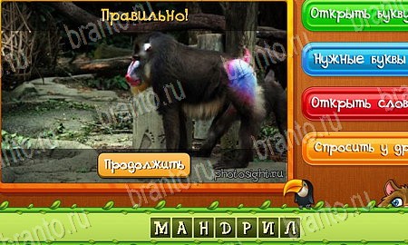 ответы на игру Угадай животных в одноклассниках Уровень 502