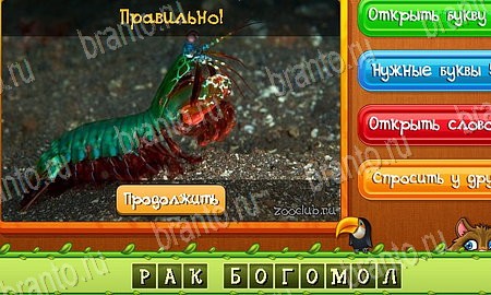 Подсказки на игру Угадай животных Эпизод 21 Уровень 503