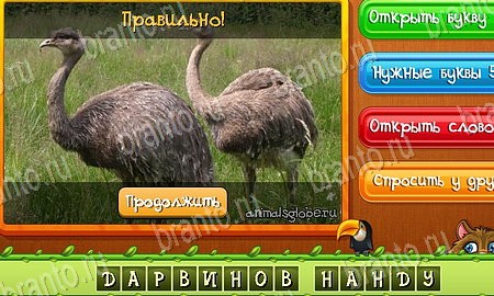 Решения на игру Угадай животных Эпизод 21 Уровень 504
