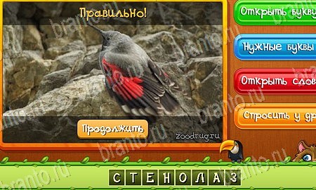 ответы к игре Угадай животных в контакте Уровень 506