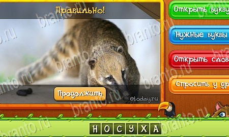 ответы на игру в одноклассниках Угадай животных Уровень 507