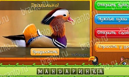 Угадай животных игра ответы в одноклассниках Уровень 508