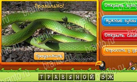 Угадай животных подсказки в контакте Уровень 510