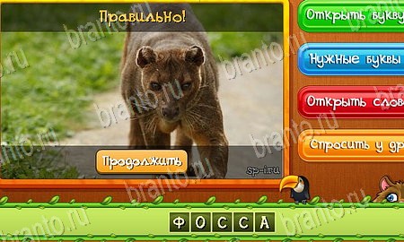 игра Угадай животных разгадки, ответ на Уровень 511