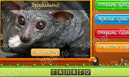Угадай животных игра ответы на все задания Уровень 514