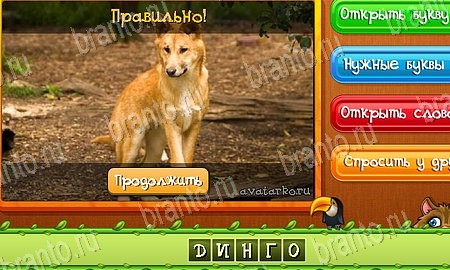 Угадай животных игра в одноклассниках помощь Уровень 516