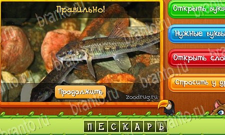 Игра Угадай животных ответы одноклассники, вк Уровень 518