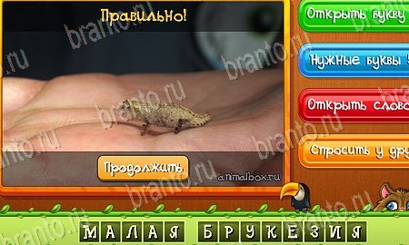 Игра Угадай животных подсказки вк Уровень 519