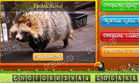 игра Угадай животных помощь одноклассники Уровень 520