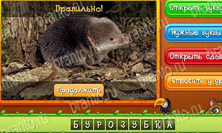 игра Угадай животных ответы в одноклассниках на Уровень 521
