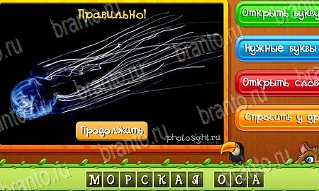 Угадай животных игра ответы ВК Уровень 524