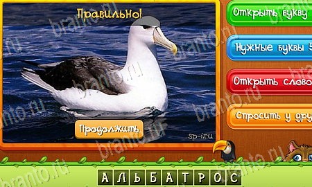 Угадай животных игра подсказки Уровень 525