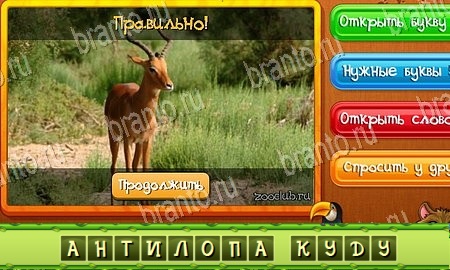Угадай животных игра вконтакте подсказки Уровень 100