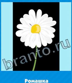 игра Угадай цвет ответы в контакте уровень 306