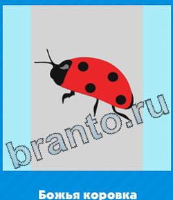 игра Угадай цвет відповіді в контакте уровень 311