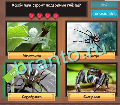 Помощь на игру ВК Угадайка Уровень 514