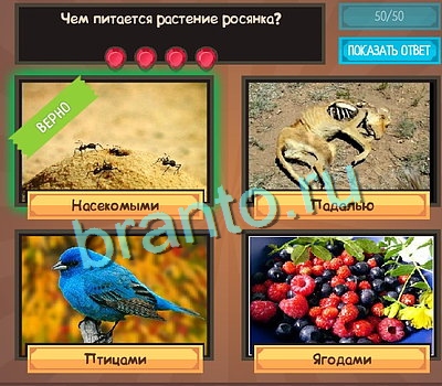 Угадайка решения Уровень 522