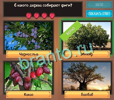 игра Угадайка помощь одноклассники Уровень 529