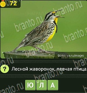 в Одноклассниках Уникум ответы на игру Уровень 72