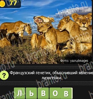 Игра Уникум Одноклассники решения Уровень 77