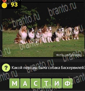 Уникум Одноклассники подсказки Уровень 93