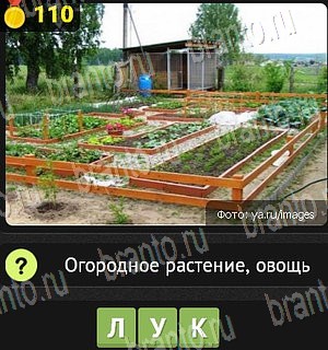 игра Уникум все отгадки Одноклассники Уровень 110