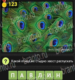 Уникум Одноклассники подсказки Уровень 123