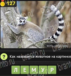 Уникум ответы на все задания Уровень 127