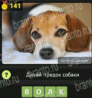 Уникум разгадки к игре Уровень 141