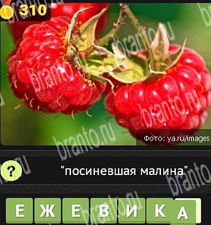 Уникум ответы Уровень 310